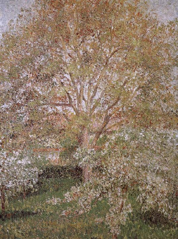 Camille Pissarro Walnut and apple trees France oil painting art